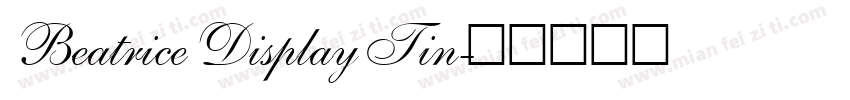 Beatrice Display Tin字体转换